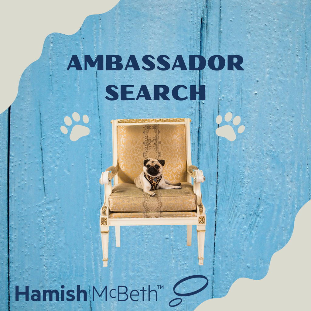 Hamish McBeth Ambassador Search