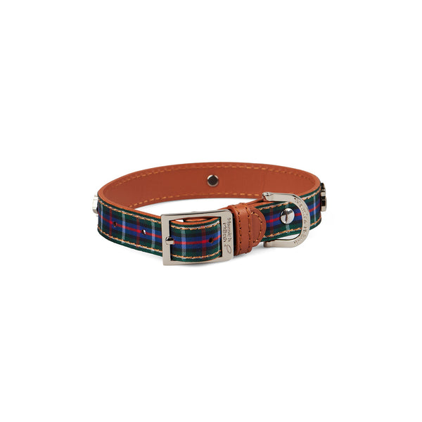 BUNDLE - Highland Blue Tartan Dog Collar & Lead