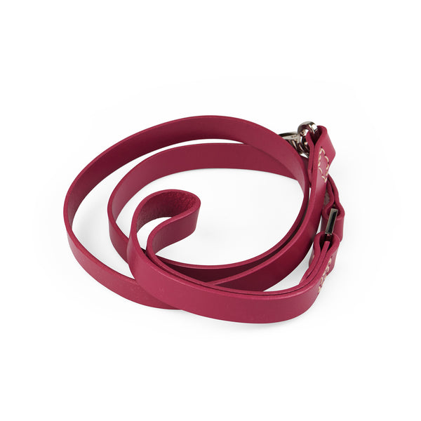 BUNDLE - Pink Hamish Dog Collar & Lead