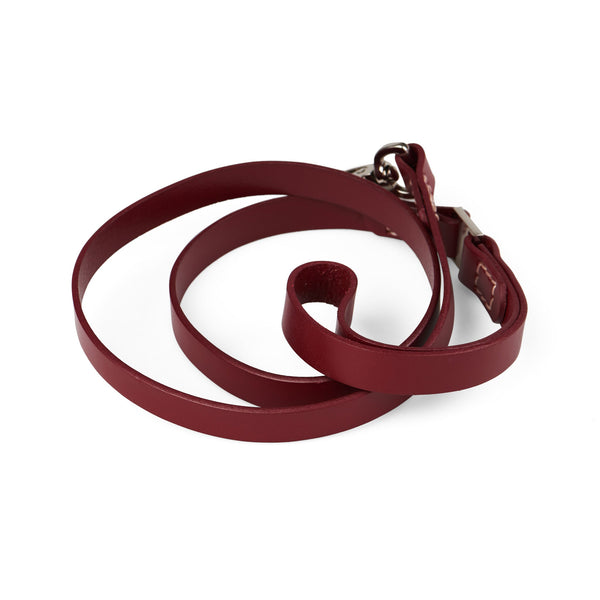 BUNDLE - Red Bones Dog Collar & Lead