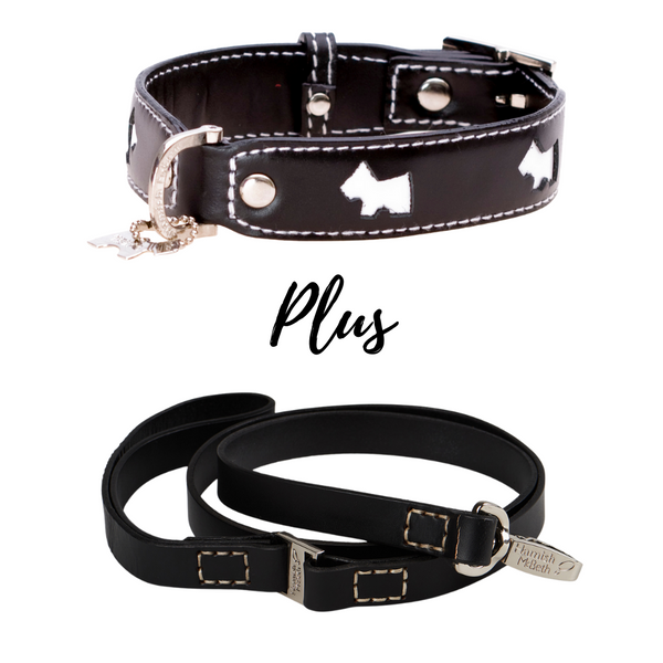 BUNDLE - Black Hamish Dog Collar & Lead