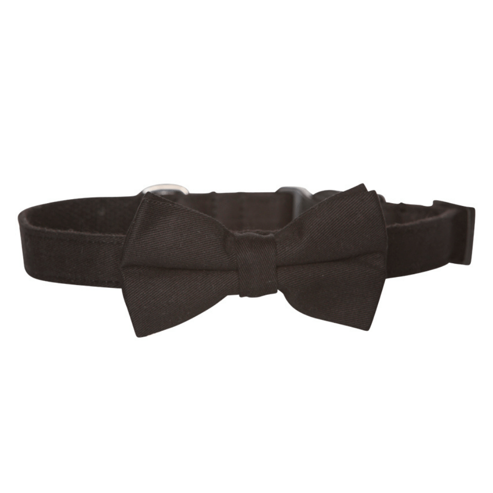 Black bow 2024 tie dog collar
