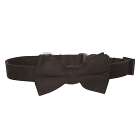 Hamish McBeth stylish black bowtie is an adjustable collar and includes a removable bow tie giving you the option to dress it up or down as mood suits you and your pup. Handmade from quality cotton fabric and strong yet soft webbing that provides best style and comfort.