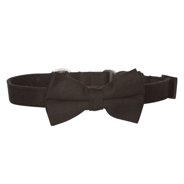 Hamish McBeth stylish black bowtie is an adjustable collar and includes a removable bow tie giving you the option to dress it up or down as mood suits you and your pup. Handmade from quality cotton fabric and strong yet soft webbing that provides best style and comfort.