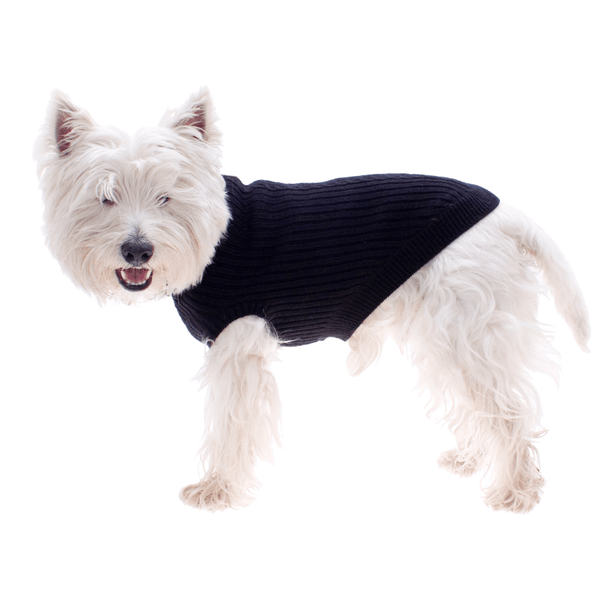 Hamish McBeth 100% Mongolian pure wool dog jumper in black is hand loomed with a roll neck cable knit design that makes this knitted dog jumper warm and comfortable. Available in 6 sizes