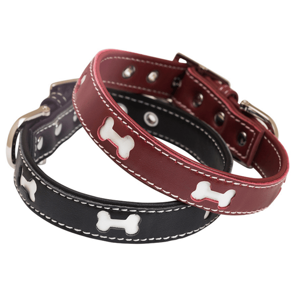 Hamish McBeth red or black designer leather dog collar with bone shaped cutouts highlighting white leather. This great design is perfect for the stylish dog with super soft Nappa leather. Matching lead available.