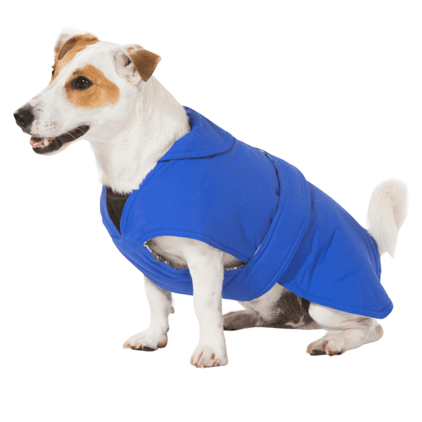 Hamish McBeth blue all-weather dog coat is windproof and water-resistant  is an outdoor gear essential. The unique design of our dog coat allows it to wrap around the chest area to cover and provide extra protection. Easy to fit with velcro straps on top. and is fully quilted for extra warmth. Available in 6 sizes for small  to large dogs.