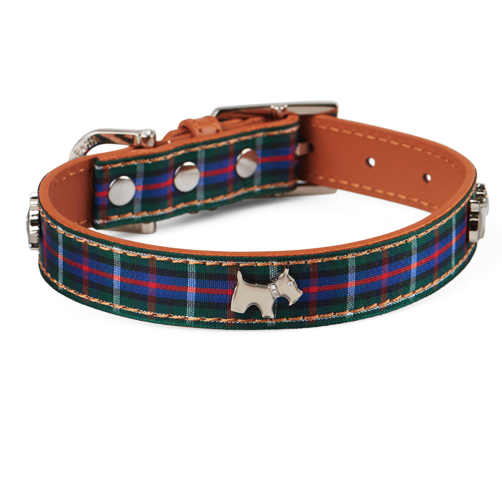 Designer Dog Collar | Highland Blue Dog Collar - Hamish