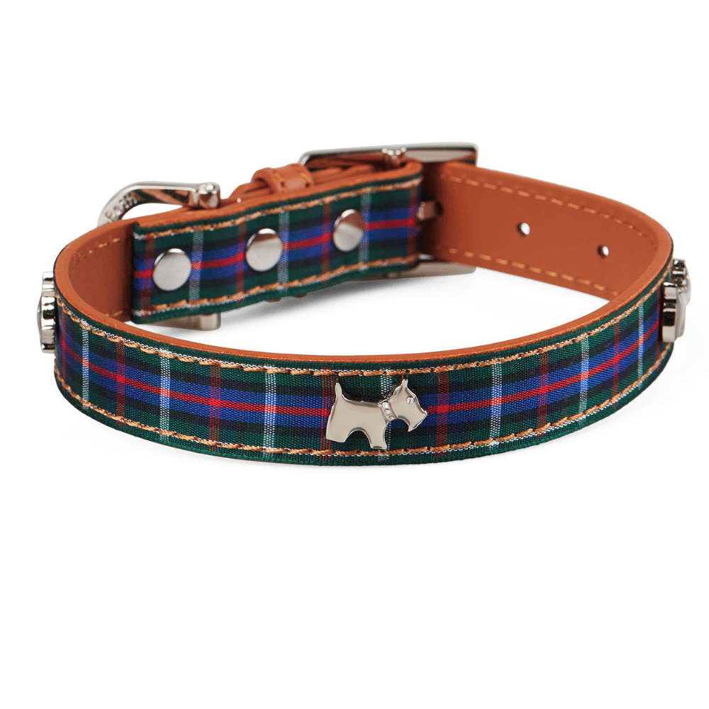 Tartan hot sale dog accessories