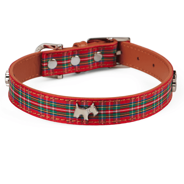 Tartan dog collar clearance and lead