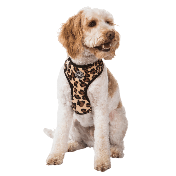 Hamish McBeth unique leopard print dog harness, your dog will be looking the part when meeting their mates.  Designed for easy use, lightly padded and comfortable with flexible fit leg holes plus double stitching for extra strength.