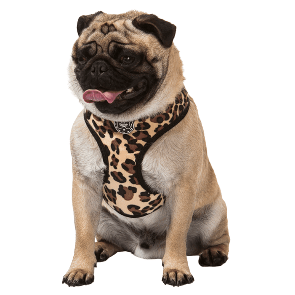 Hamish McBeth unique leopard print dog harness, your dog will be looking the part when meeting their mates.  Designed for easy use, lightly padded and comfortable with flexible fit leg holes plus double stitching for extra strength.