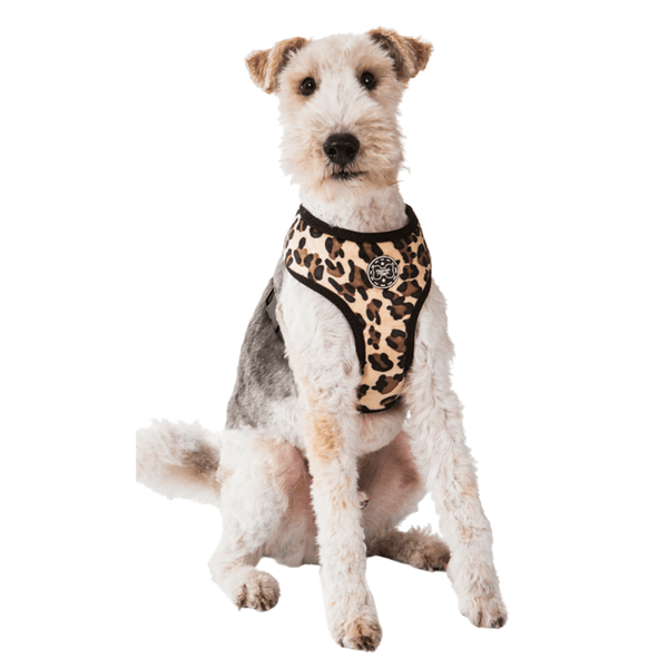 Hamish McBeth unique leopard print dog harness, your dog will be looking the part when meeting their mates.  Designed for easy use, lightly padded and comfortable with flexible fit leg holes plus double stitching for extra strength.
