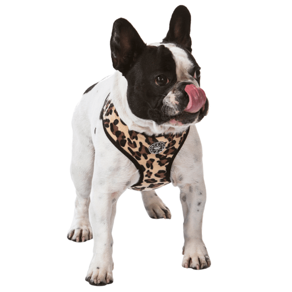 Hamish McBeth unique leopard print dog harness, your dog will be looking the part when meeting their mates.  Designed for easy use, lightly padded and comfortable with flexible fit leg holes plus double stitching for extra strength.