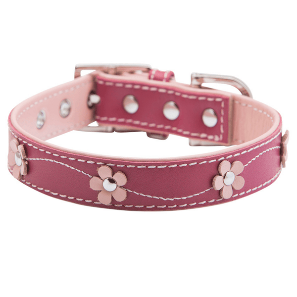 Hamish McBeth Pink leather dog collar decorated with delicate flowers with white stitching. Matching lead available.
