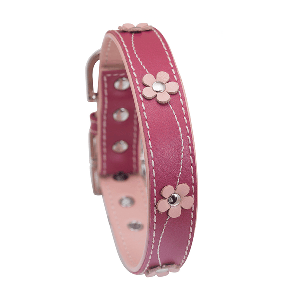 Hamish McBeth Pink leather dog collar decorated with delicate flowers with white stitching. Matching lead available.