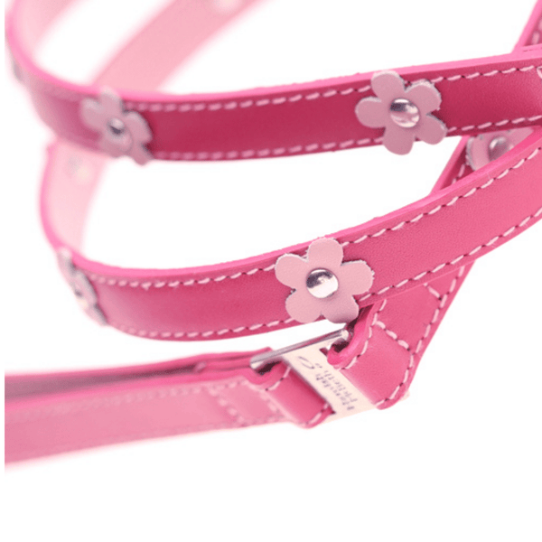 Hamish McBeth Lucy Pink Leather dog lead to match our Lucy Pink Collars.