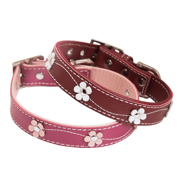 Hamish McBeth Red and Pink leather dog collar decorated with delicate flowers with white stitching. Matching lead available.