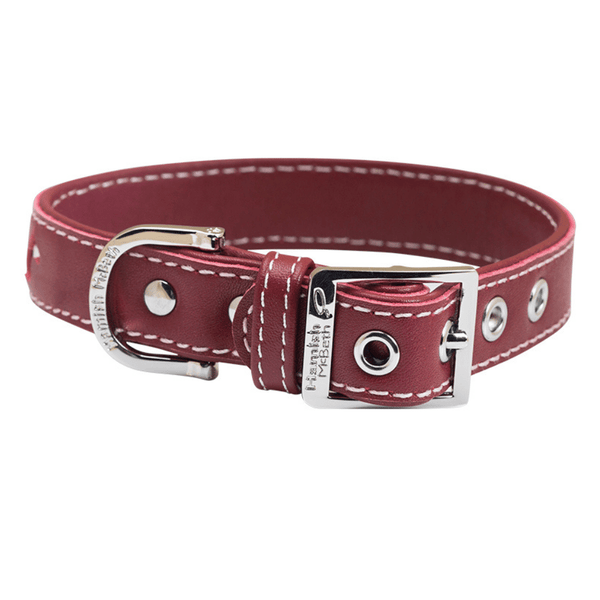Hamish McBeth Red leather dog collar decorated with delicate flowers with white stitching. Matching lead available.
