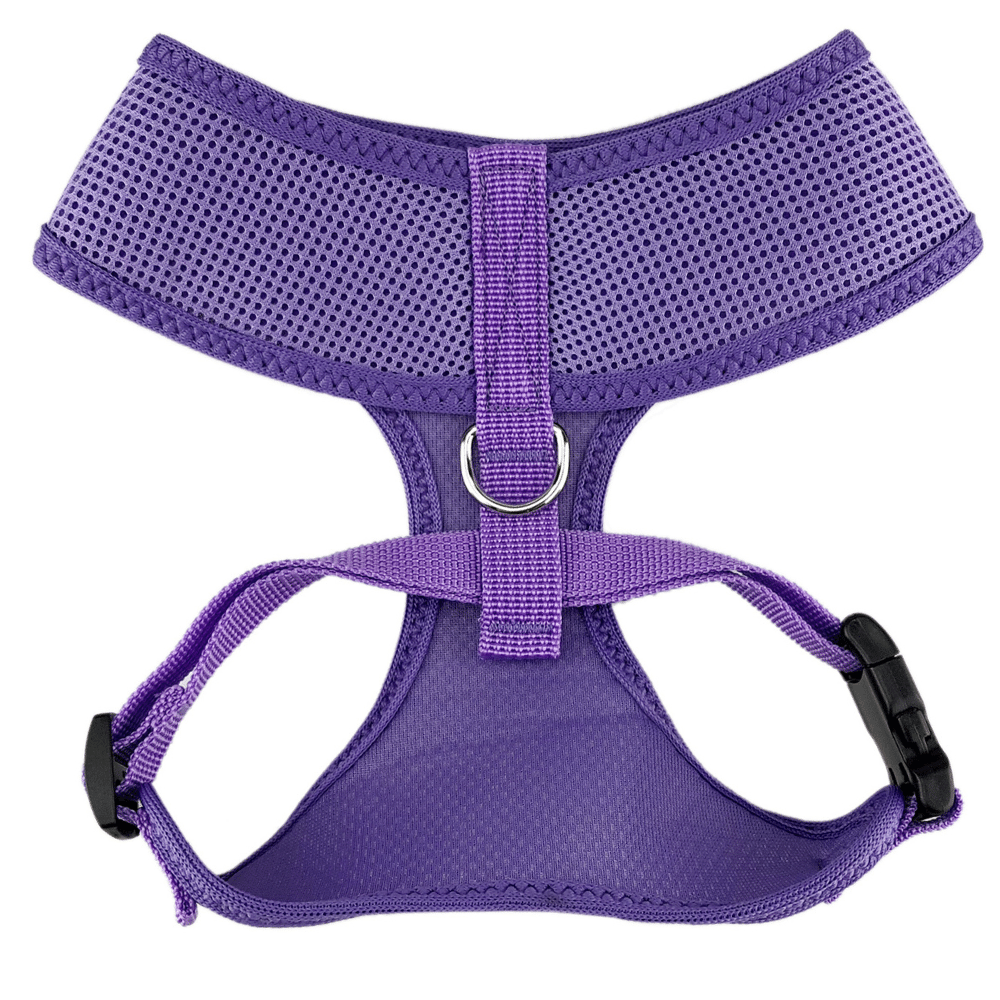 Purple dog deals harness