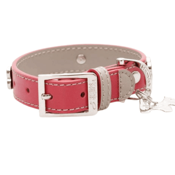 Hamish McBeth classic red bling dog collar with bone studs. Made of high quality super soft top grain real leather with contrasting beige leather detail and stitching. The bone studs are decorated with enamel paw design and protected with a clear lacquer. Matching slim lead available.