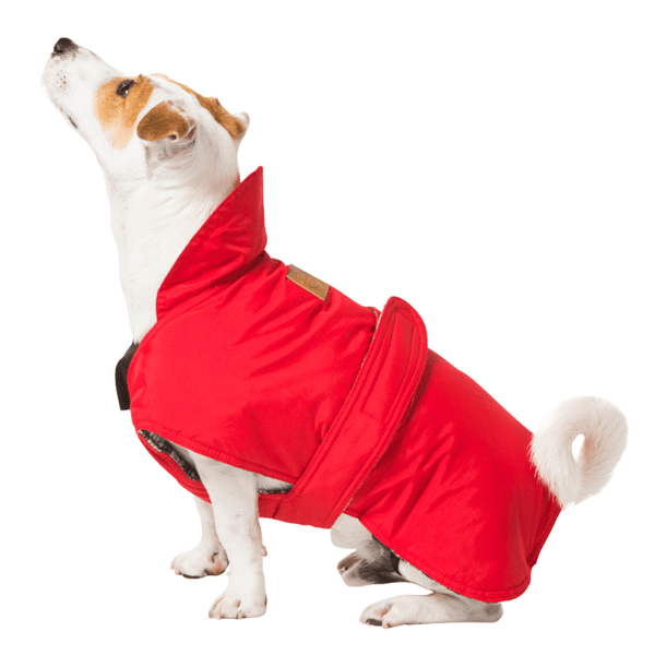 Hamish McBeth red all-weather dog coat is windproof and water-resistant is an outdoor gear essential. The unique design of our dog coat allows it to wrap around the chest area to cover and provide extra protection. Easy to fit with velcro straps on top. and is fully quilted for extra warmth. Available in 6 sizes for small  to large dogs.