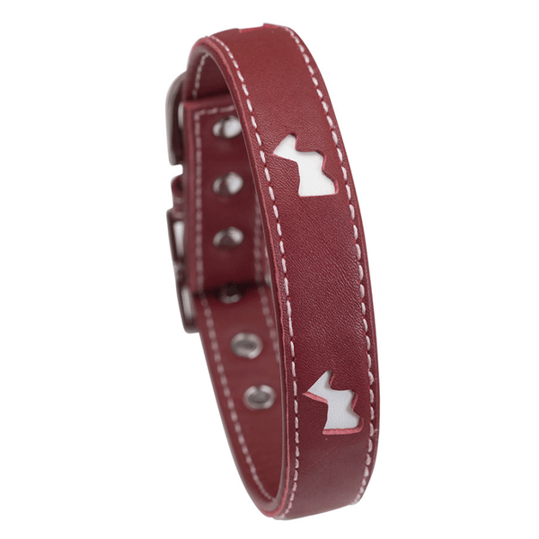 Hamish McBeth designer leather dog collar with terrier cut-outs highlighting white leather comes in red with contrasting white stitching. Matching lead available.