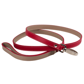 Matching red and grey leather leash made from luxury top grain Nappa leather with a smooth buttery texture with quick release strong nickle branded clasp. Matches with our red bling collars and leather dog collars.