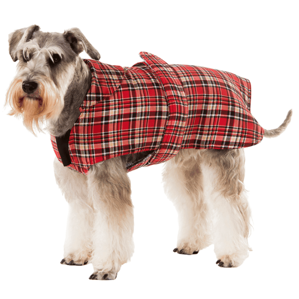 Hamish McBeth classic red tartan all-weather dog coat is windproof and water-resistant is an outdoor gear essential. The unique design of our dog coat allows it to wrap around the chest area to cover and provide extra protection. Easy to fit with velcro straps on top. and is fully quilted for extra warmth. Available in 6 sizes for small  to large dogs.