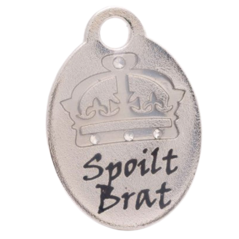 Heavy duty store pet id tags