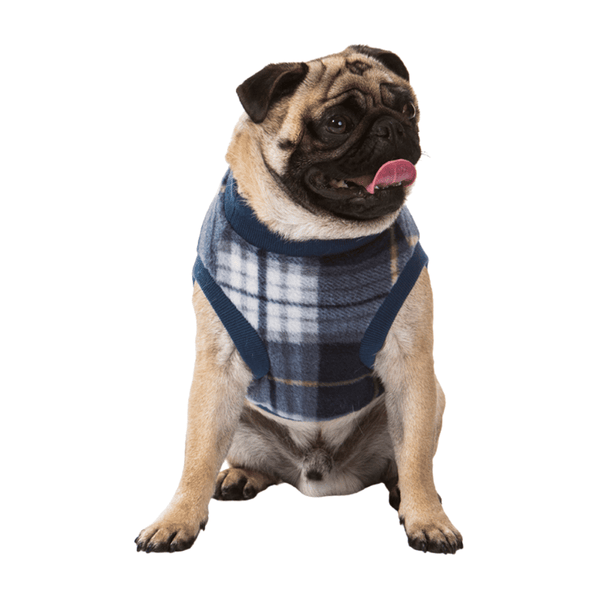 Super soft microfleece Hamish McBeth Blue Tartan dog Pyjamas  are the best dog clothes to keep your  pooch snuggly and warm. Sleep with them or walk out in style. Sizing from puppies to big dogs. Matching tartan blue blanket available.