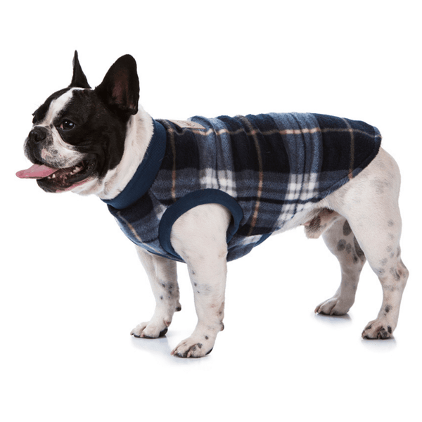 Super soft microfleece Hamish McBeth Blue Tartan dog Pyjamas  are the best dog clothes to keep your  pooch snuggly and warm. Sleep with them or walk out in style. Sizing from puppies to big dogs. Matching tartan blue blanket available.