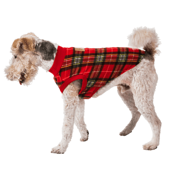 Super soft microfleece Hamish McBeth Red Tartan dog Pyjamas  are the best dog clothes to keep your  pooch snuggly and warm. Sleep with them or walk out in style. Sizing from puppies to big dogs. Matching tartan red blanket available.