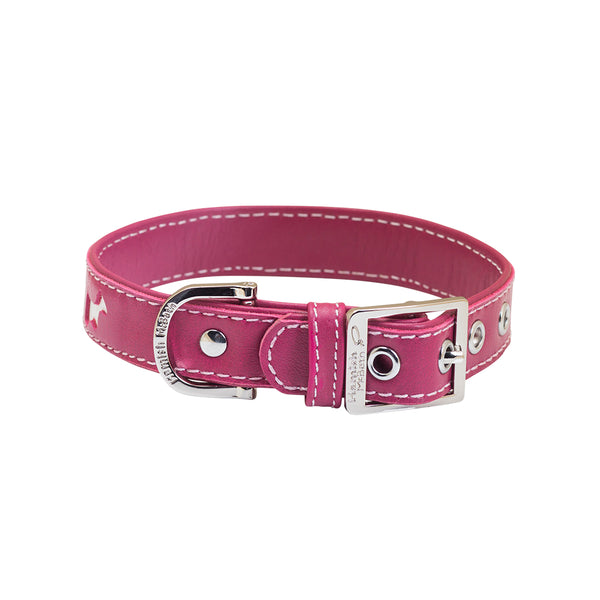 BUNDLE - Pink Hamish Dog Collar & Lead