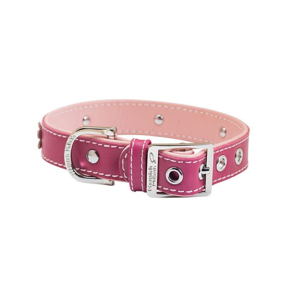 leather-dog-collar-pink-lucy-hamish-mcbeth-back.jpg