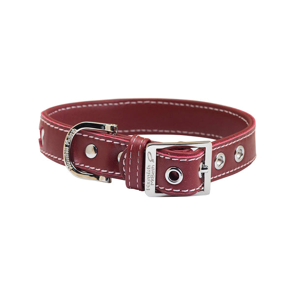 BUNDLE - Red Bones Dog Collar & Lead