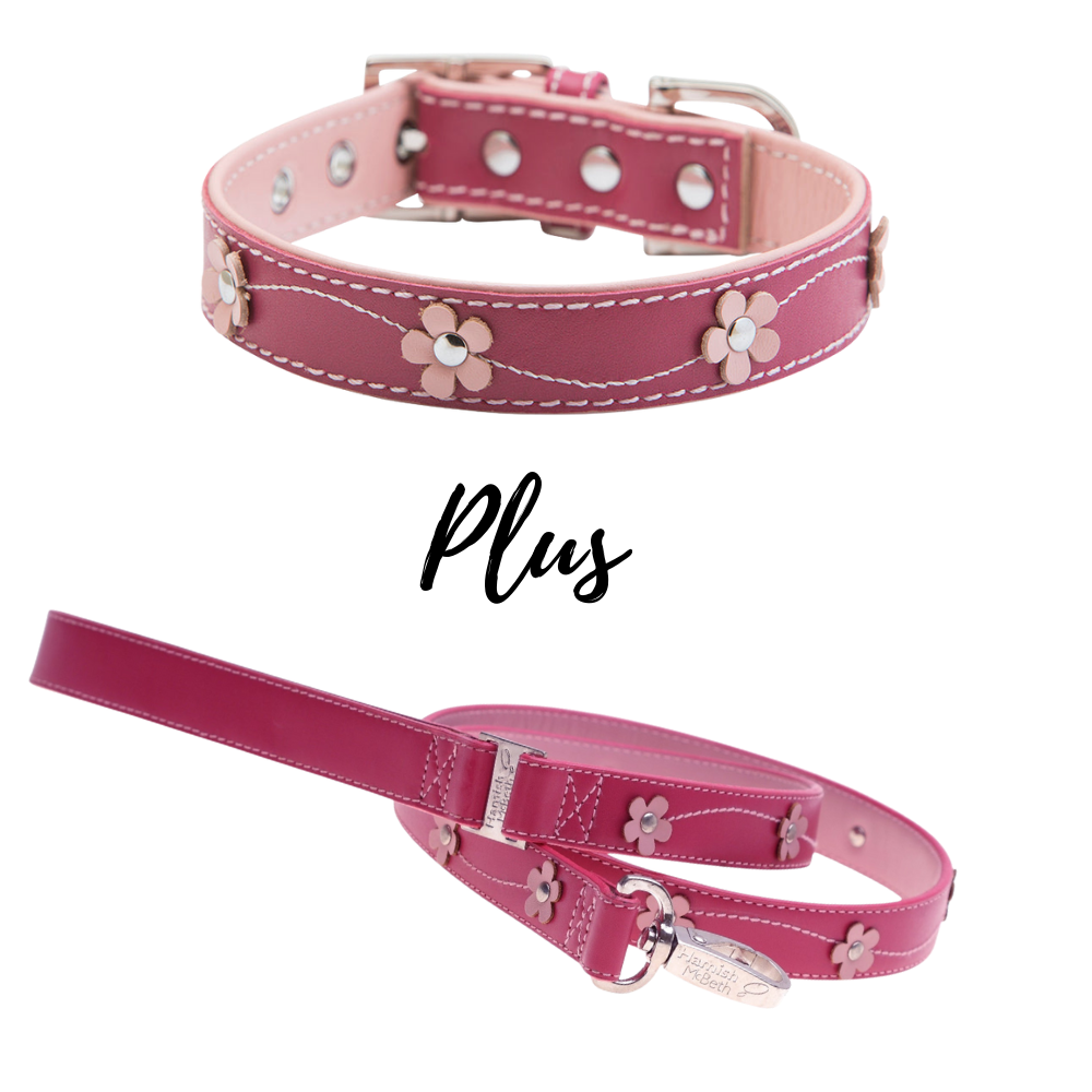 Pink dog on sale collar and lead