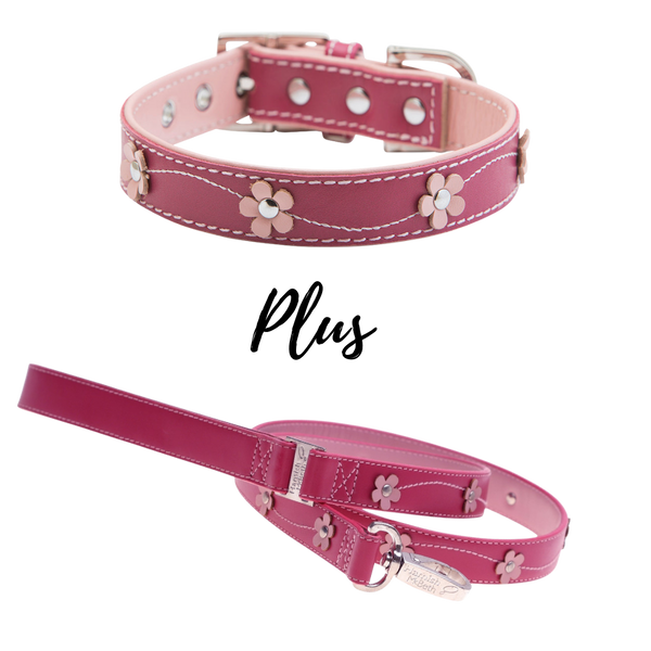 BUNDLE - Lucy Pink Dog Collar & Lead