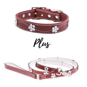 BUNDLE - Lucy Red Dog Collar & Lead