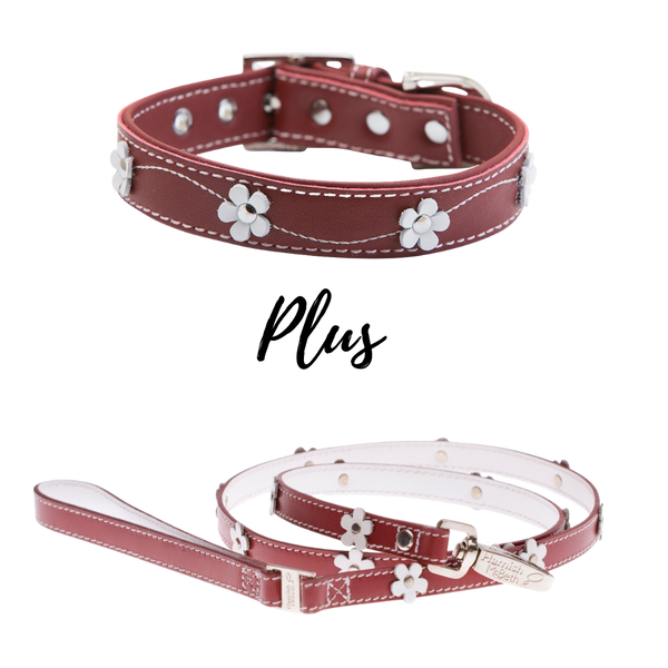 BUNDLE - Lucy Red Dog Collar & Lead