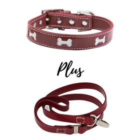 BUNDLE - Red Bones Dog Collar & Lead