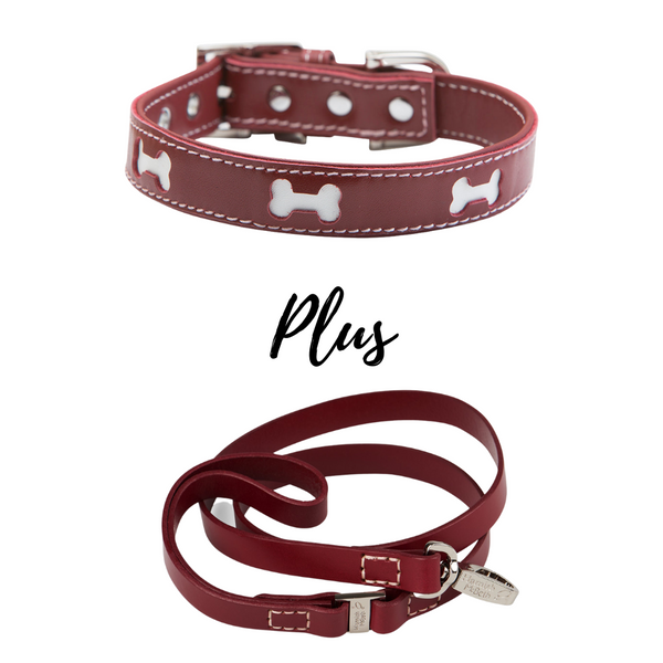 BUNDLE - Red Bones Dog Collar & Lead