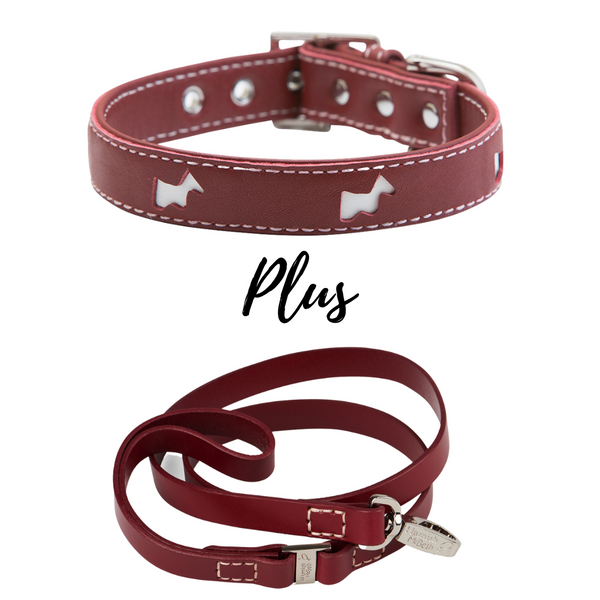 BUNDLE - Red Hamish Dog Collar & Lead