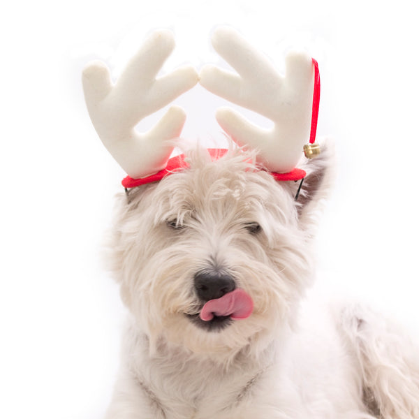 Xmas Antlers