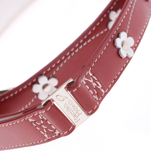 BUNDLE - Lucy Red Dog Collar & Lead